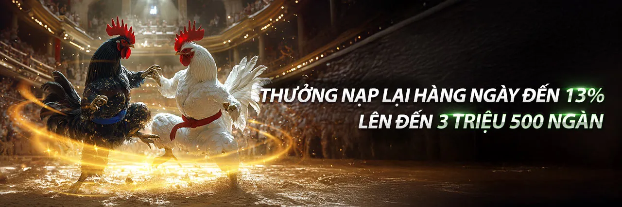 Đấu trường đá gà kịch tính tại 79king1 chính thức